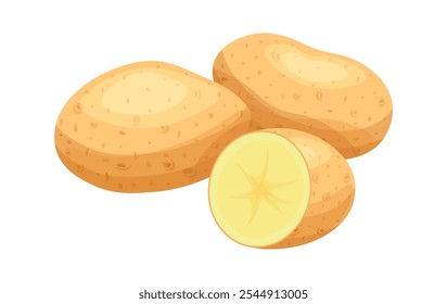 Composition with potatoes in cartoon style. Vector illustration of fresh potatoes whole and cut in half isolated on white background. Healthy food. Vegetables. Harvest. Root crops. 