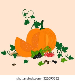 Composition with pumpkin