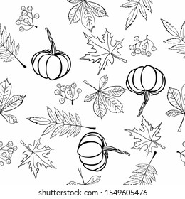 Composition of pumpkins and autumn leaves. Seamless pattern. Autumn theme. Coloring.
