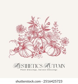 Composição com abóboras e flores. Ilustração botânica vetorial. Vintage. Fundo de outono. Vermelho