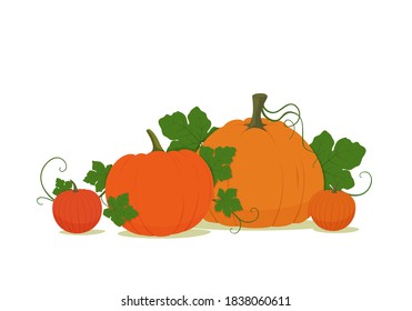 Komposition mit Kürbis und Blättern auf weißem Hintergrund. Thanksgiving- oder Halloween-Dekoration. Vektorgrafik. Banner, Plakat, Karte, Faltblatt-Design.