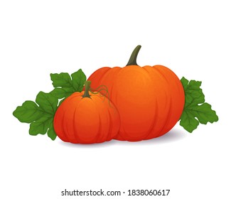 Composition with pumpkins and leaves on a white background. Thanksgiving or Halloween decoration. Vector illustration. Banner, poster, card, leaflet, frame design.