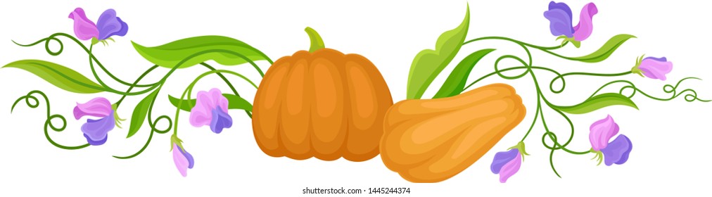 Composition of pumpkins, stems and flowers. Vector illustration on white background.