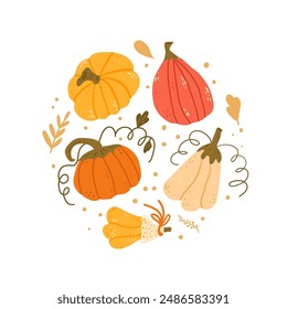 Composition of pumpkins in various shapes and colors. Textured autumn ripe harvest circle badge. Vector hand drawn illustration isolated on white background.