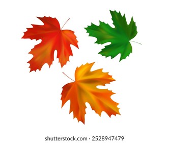 Composition of realistic maple autumn leaves. Orange, green, red maple fall leaves swirl in the wind. Vector illustration