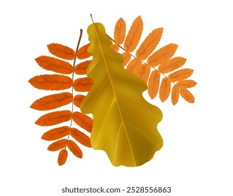 Composition of realistic rowan and oak autumn leaves. Yellow, brown, orange flying fall vibrant leaves. Vector illustration