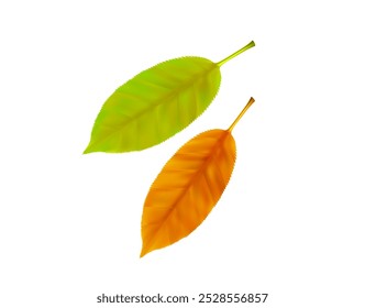 Composition of realistic vibrant autumn leaves. Green, orange flying fall leaves. Vector illustration