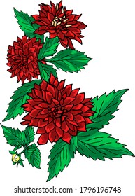 Composition of red flowers. Dahlias red several with leaves. Vector design elements.