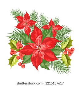 Composition of red poinsettia flower isolated over white background. Christmas card with poinsettia red star. Vector illustration.