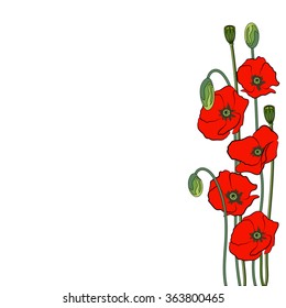 Composition of red poppy flowers isolated on a white background.