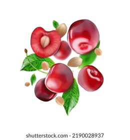 Composición de cerezas maduras y hojas verdes. Ilustración vectorial.