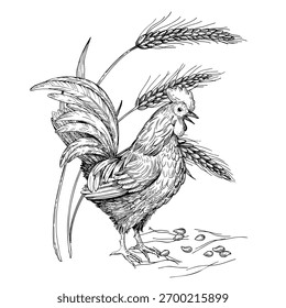 Composição do galo em pé perto do trigo e das sementes. Ilustração à mão estilo tinta vetor. Para design de embalagem, cartões, capa, impressões, etiquetas de produto e tecido.