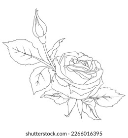 Composition of rose buds and leaves vector illustration in line art style. Hand drawn outline flowers. For the design of stickers, stationery, greeting cards, tattoos, coloring, prints on clothes.