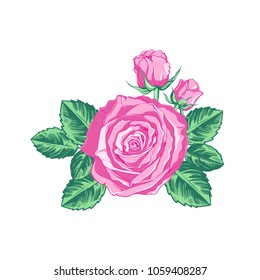 Composition with a rose flower, buds, and leaves on a white background. Hand drawn vector  illustration.