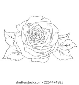Composición de la imagen de rosa y sale de la ilustración vectorial en el estilo de arte de línea. Flores delineadas a mano. Para el diseño de pegatinas, papelería, tarjetas de felicitación, tatuajes, colorantes, huellas en la ropa.