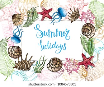 Composition of seashells, starfish, jellyfish. Underwater world. Sea background. Vector illustration.