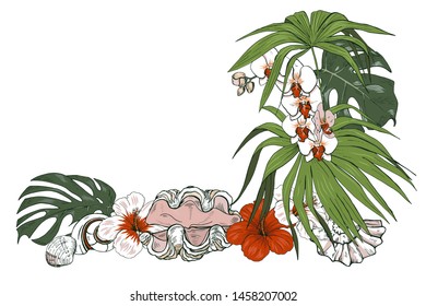 Composition of seashells and tropical plants and flowers, vector illustration