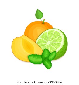 Composition of several apricot citrus lime fruit and mint leaves. Ripe vector apricots limes fruits with fresh pepper mint leaf. Group of tasty fruits for design packaging juice cocktail healthy food