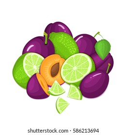 Composition of several plum and citrus lime fruit. Ripe vector plums and tropical limes fruits. Group of tasty fruits whole and slice for design packaging juice, cocktail, healthy food, vegan eat.