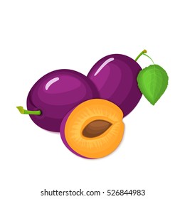 Composition of several plums. Purple vector plum fruits whole and slice appetizing looking. Group of tasty fruits colorful design for the packaging of juice, breakfast, healthy eating, vegetarianism