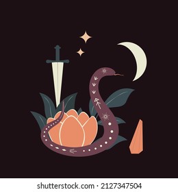 Composition With Snake, Knife, Flower And Moon On Dark Background