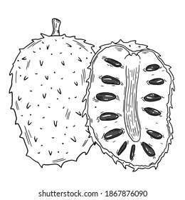 Composition of soursop fruits with a half of fruit. Black outline drawing isolated on white background. Doodle style.