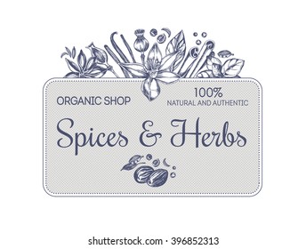 Composition of spices and herbs. The design concept for the spice shop, a template for labels and signboard. Vector hand-drawn illustration.