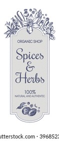 Composition of spices and herbs. The design concept for the spice shop, a template for labels and signboard. Vector hand-drawn illustration.