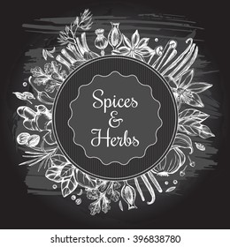 Composition of spices and herbs, a template for labels and signboard. Vector hand-drawn illustration on the blackboard.v
