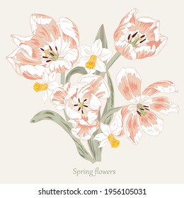 Composition of spring flowers, pink tulips and daffodils, vector illustration