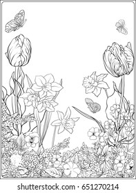 Composition with spring flowers: tulips, daffodils, violets, forget-me-nots in botanical style. Stock line vector illustration. Outline hand drawing coloring page for adult coloring book.

