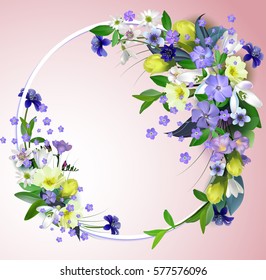 Composition of spring primroses on the form of a circular frame with space for text, isolated on white background.vector.
