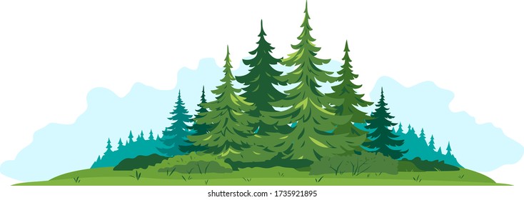 Composition of spruce forest with big green spruce trees in front view isolated, green dense spruce forest and bushes in summer sunny day on blue clouds, European forest clipart illustration
