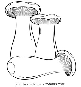 Composition with standing and lying down King Trumpet mushrooms, Eryngii, Oyster edible mushroom. Vector illustration in hand drawn sketch style. Line art graphic isolated on white for coloring book