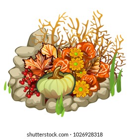 Composition of stones, pumpkin, berries of holly and dried flowers isolated on white background. Vector cartoon close-up illustration.