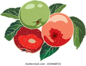 composition of stylized red and green apples with leaves on a transparent background