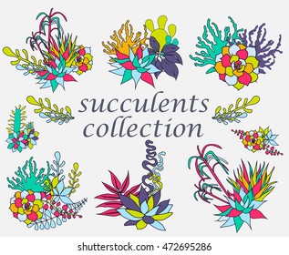 Composition of succulents, flowers and branches.Terrariums with flowers. 