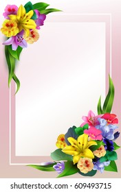 A composition of summer bright colors with a place under the text.For the design of postcards, brochures, banners, flyers