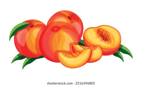 Composition of sweet and juicy peaches in cartoon style. Vector illustration of fresh and tasty peaches with green leaves: whole, halves, pitted, slices isolated on white background.A healthy snack. 