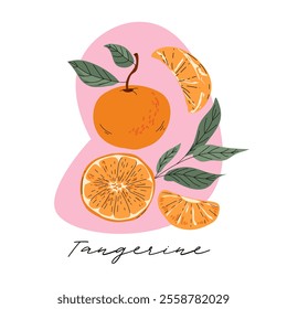 Composition of tangerines and their parts on a pink background. Minimalistic freehand drawing. For posters, postcards, design