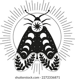 Composition Tarot Mystery Moon Moth vector illustration