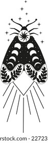 Composition Tarot Mystery Moon Moth vector illustration