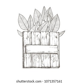 Composition this wood texture and tropical palm leaves, vector illustration. Graphic hand drawn painted illustration. Place for text.