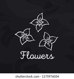Composition of three contour sketchy flowers with four petals. Doodle vector illustration drawn by chalk on black-board. Design element for web design, posters, interior decor. 