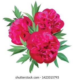 composition of three large red flowers peonies with green leaves isolated on white background