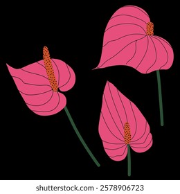 Composition of three pink Anthurium tropical flowers. Hand-drawn Flamingo flower flat style art. Vector illustration on dark background for fashion prints, wallpapers, decorative elements