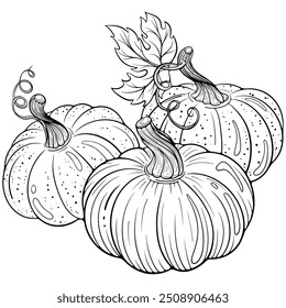 Composición con tres calabazas. Cosecha de otoño, símbolo de Acción de Gracias. Ilustración vectorial en estilo doodle de boceto dibujado a mano. Línea de arte vegetal aislado en blanco para colorear libro, impresión