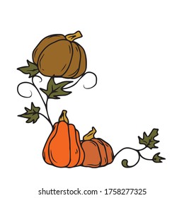 Composition of three pumpkins, harvest festival.Vector design for banners and postcards.Nature