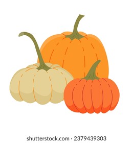 Composition of three pumpkins. Vector isolated color illustration.