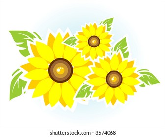 Composition from three sunflowers on a white background.
